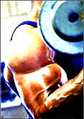 Build Muscle