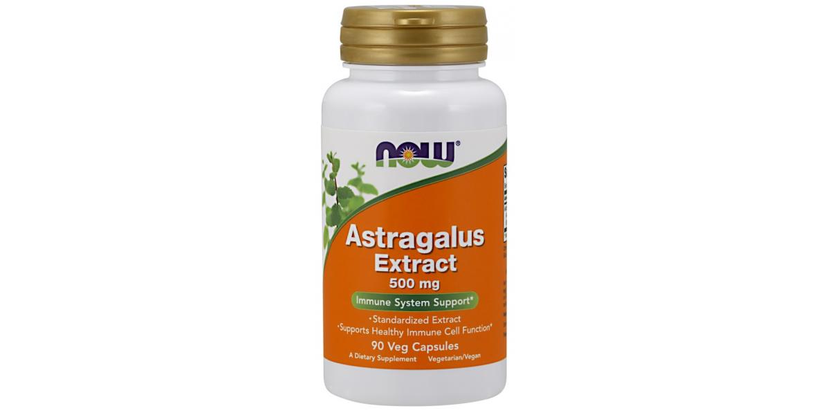 NOW Foods Astragalus Extract, 500mg 90 vcaps Bodybuilding and