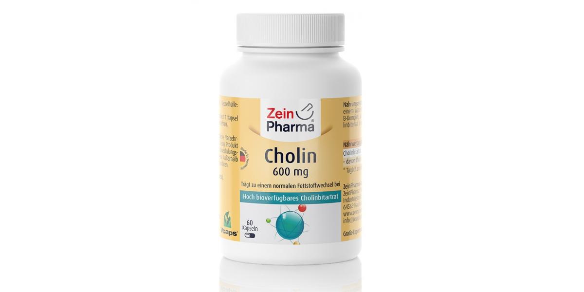 Zein Pharma Choline, 600mg 60 caps Bodybuilding and Sports Supplements