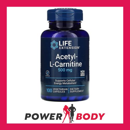 iron with l-carnitine IRON SUPPLEMENT PLUS L CARNITINE FOR ANEMIC HORSES  Iron Horse