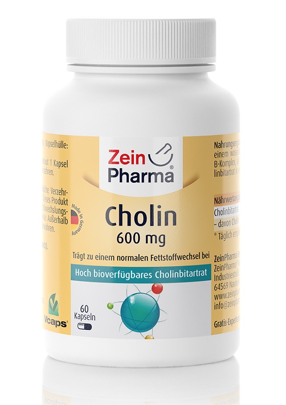 Zein Pharma Choline, 600mg 60 caps Bodybuilding and Sports Supplements