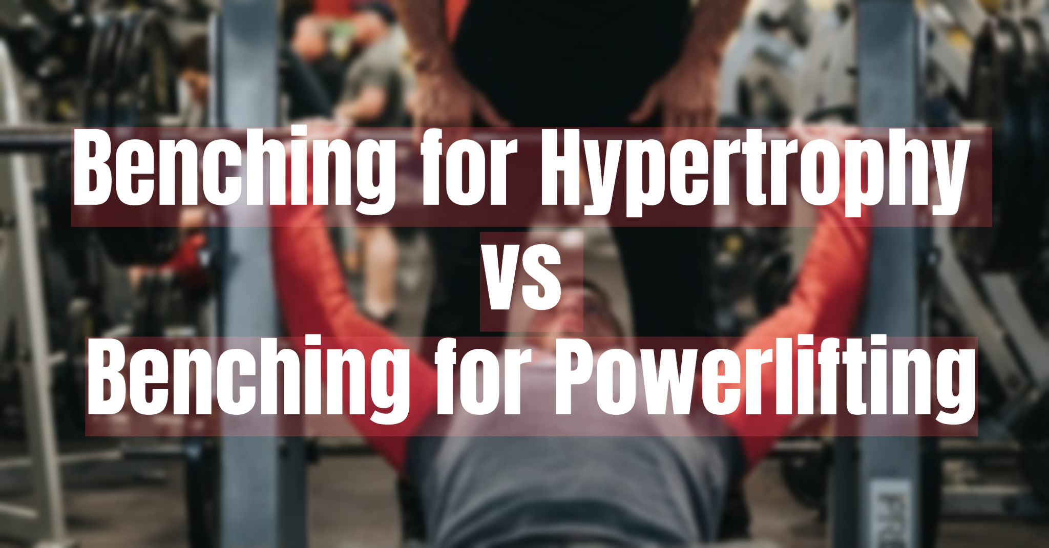 Blog Benching for Hypertrophy vs for Powerlifting Bodybuilding and Sports Supplements