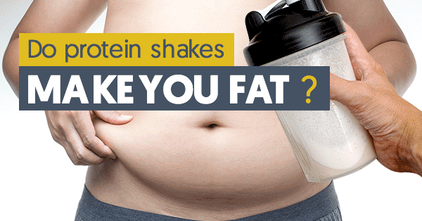 Blog - Do protein shakes make you fat? - Bodybuilding and Sports Supplements Blog - Do protein shakes make you fat? - Bodybuilding and Sports Supplements