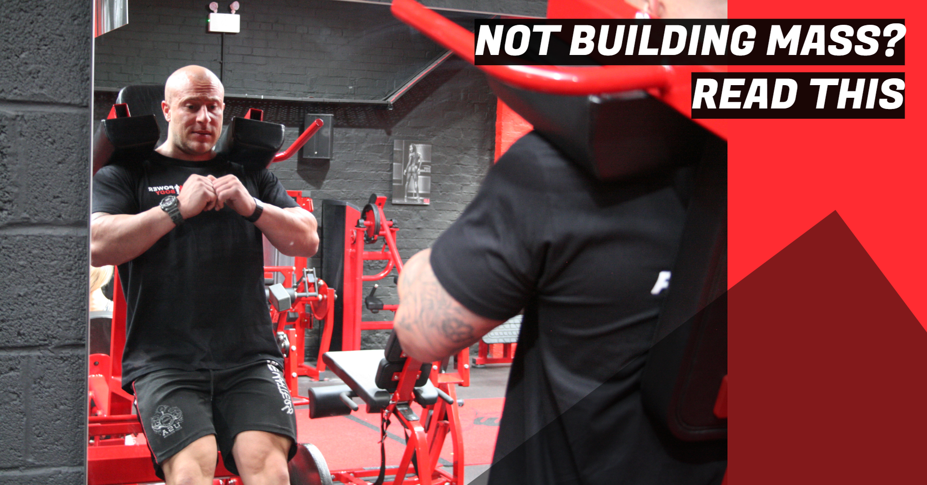 Blog - Not building mass? Read this... - Bodybuilding and Sports ...