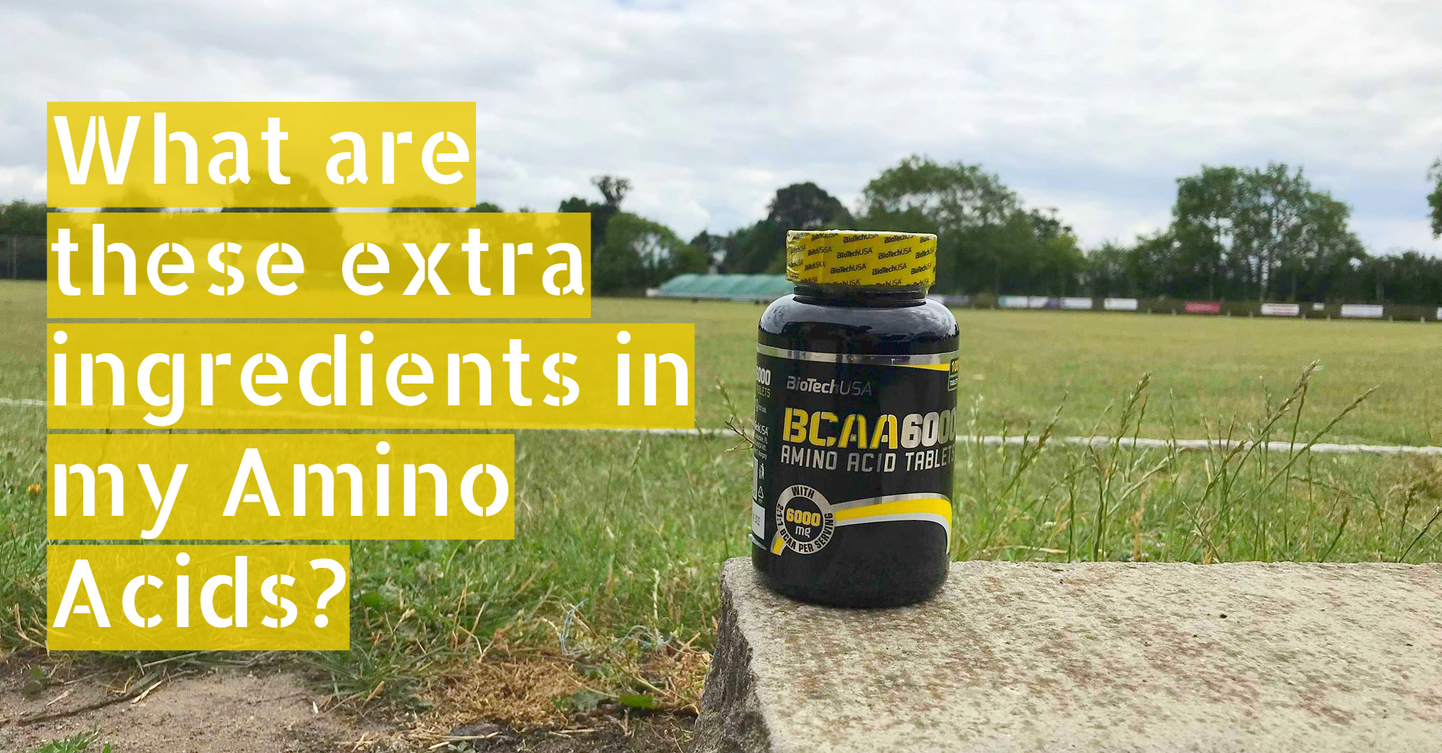 Blog What are these extra ingredients in my Amino Acids?these extra