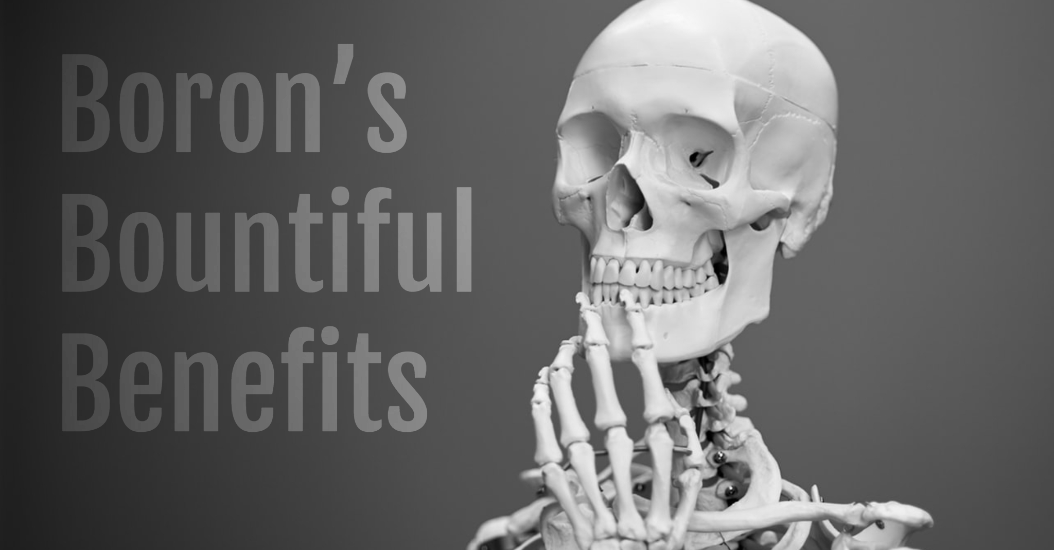 NOW Foods Lecithin Bodybuilding and Sports Supplements