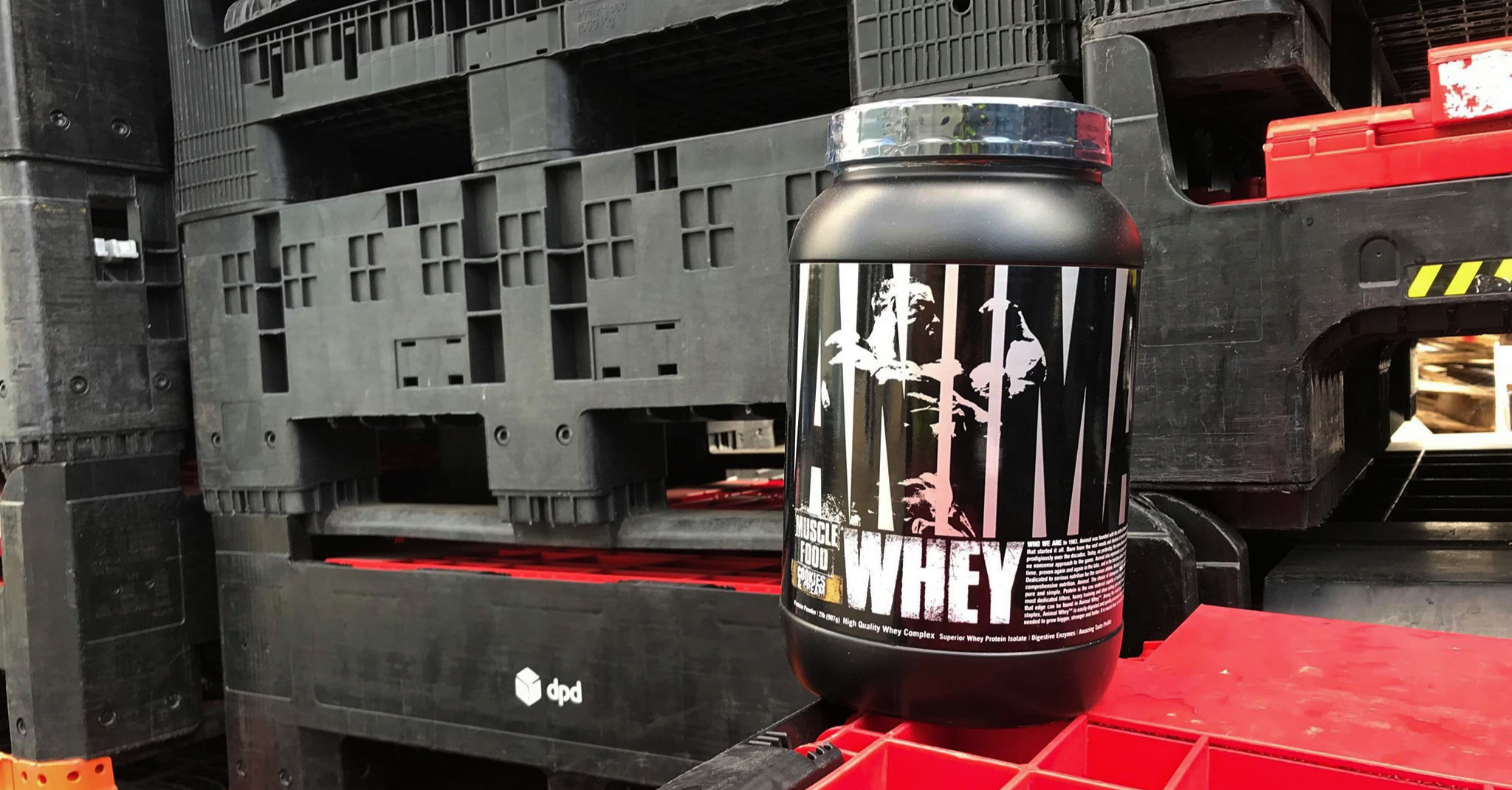 Blog Top Rated Protein Drinks for Diabetics Bodybuilding and Sports