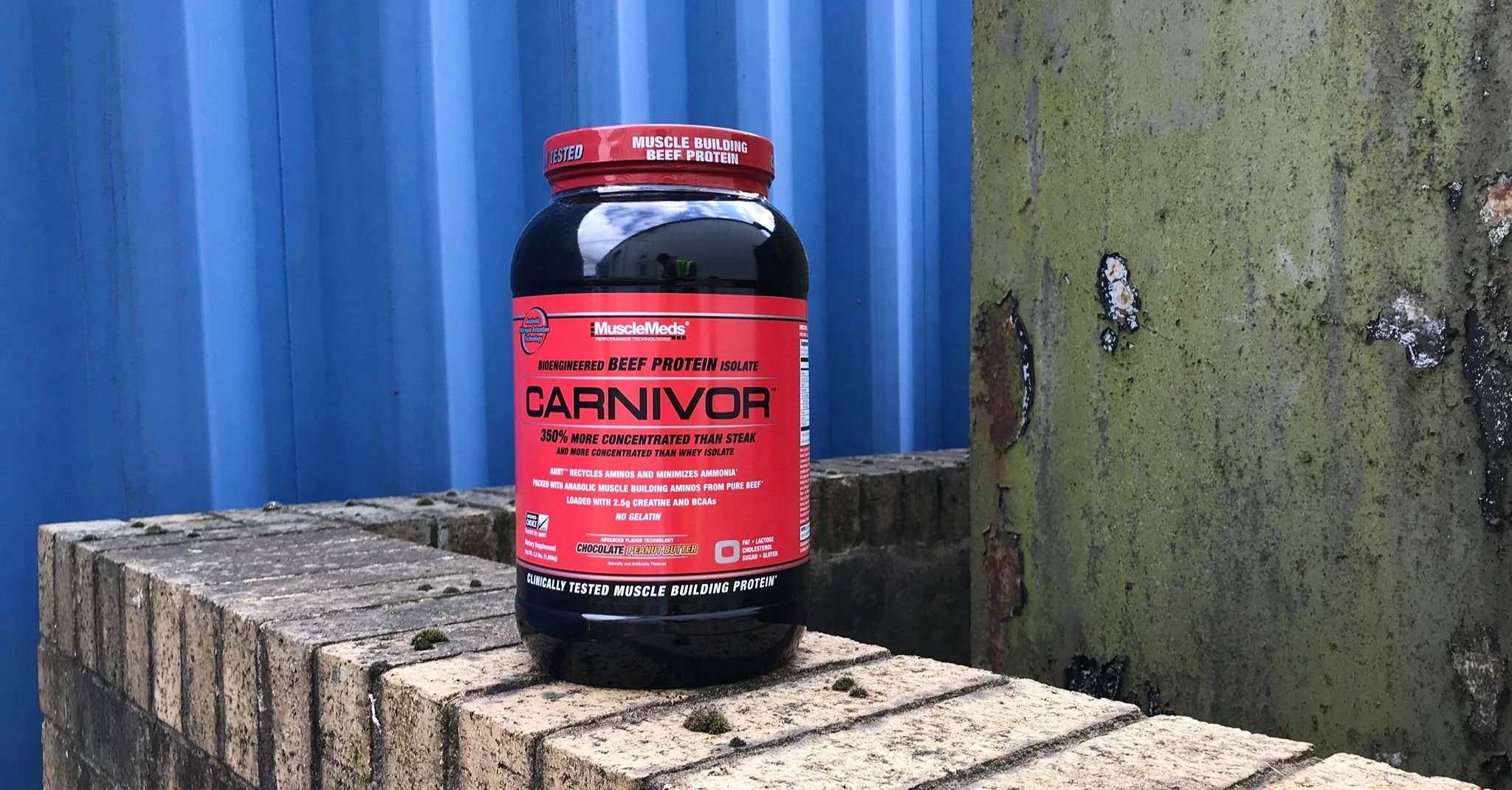 Blog Top Rated Protein Drinks for Diabetics Bodybuilding and Sports