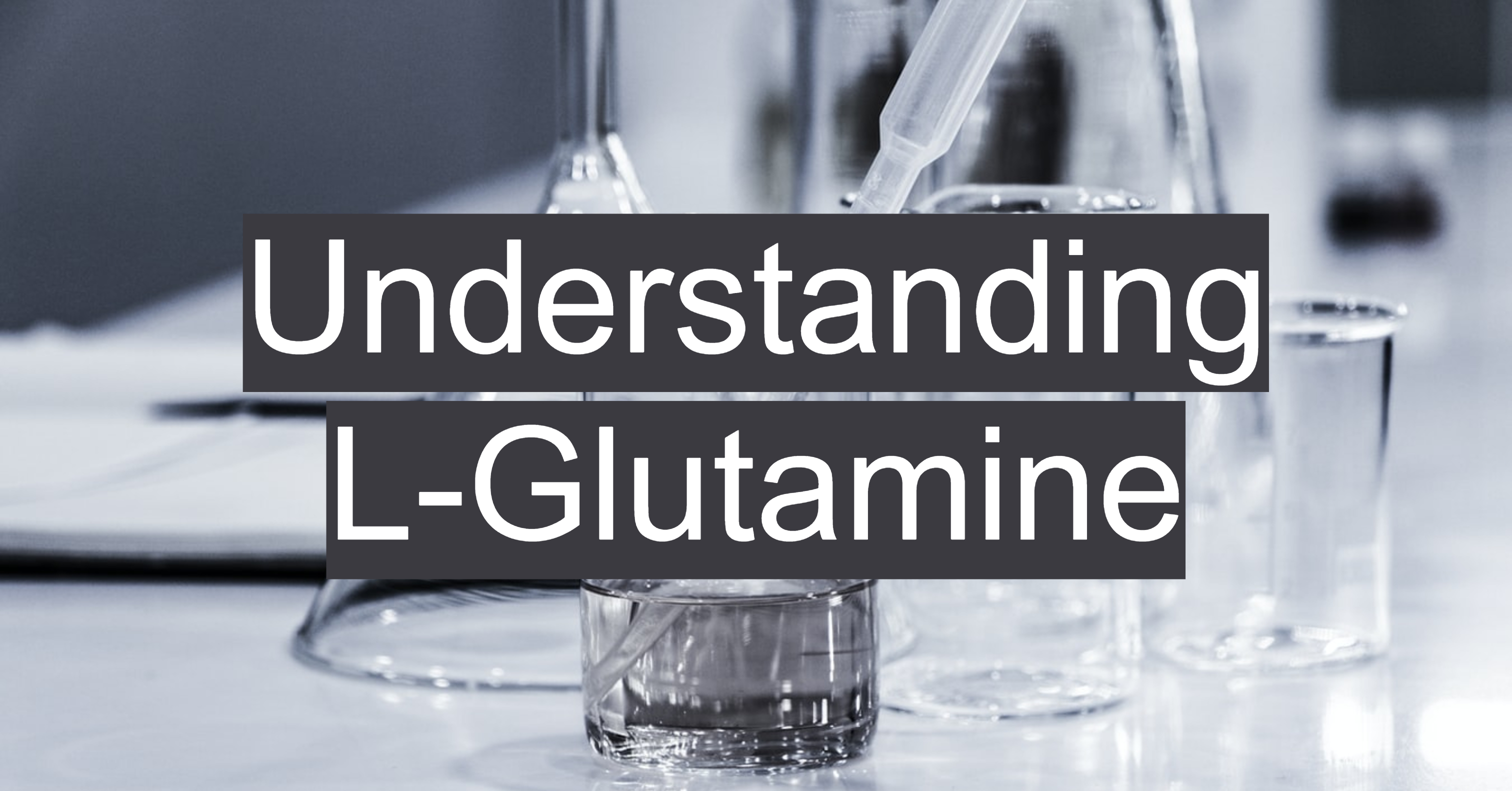Blog Understanding LGlutamine Bodybuilding and Sports Supplements