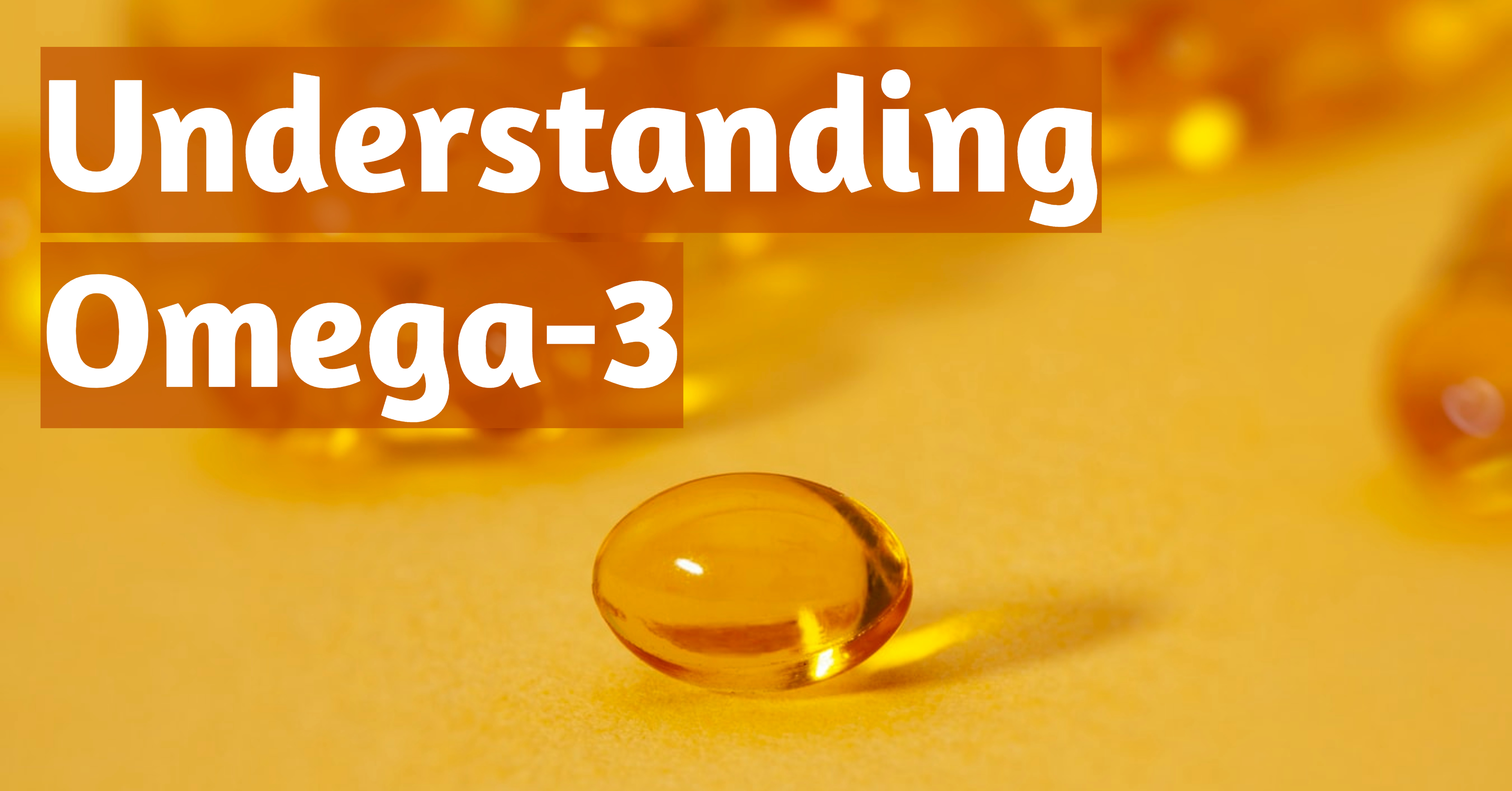 Blog Understanding Omega 3 Bodybuilding and Sports Supplements