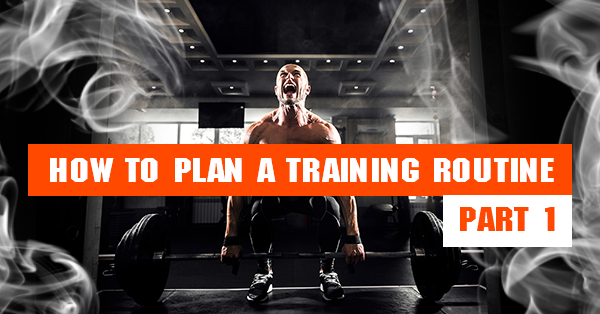 Sports Training Routine Blog - How to plan a training routine: Part one. - Bodybuilding and ...
