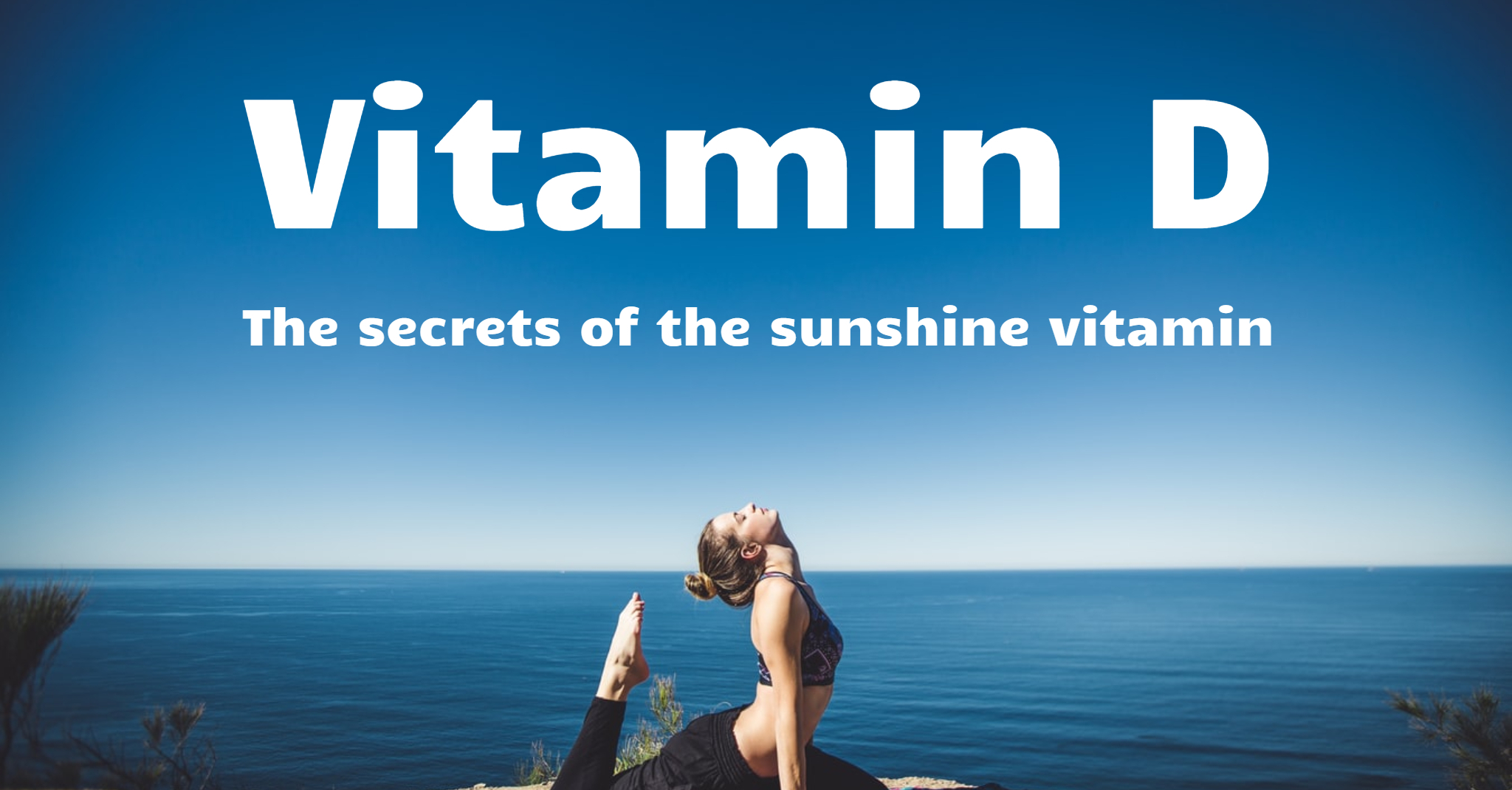 NOW Foods Lecithin Bodybuilding and Sports Supplements